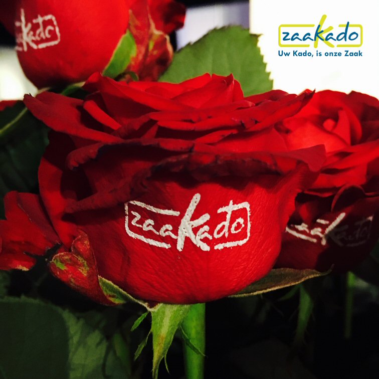 Bloemen relatiegeschenk logo bedrukken giveaway rozen opendag, sportvereniging voetbal tennis beurs beurzen ZaaKado Rotterdam